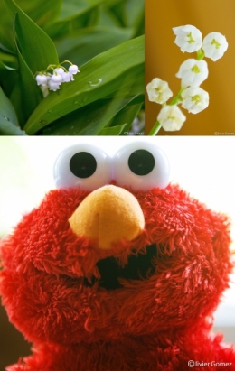 MUGBLOGblog.jpg