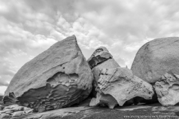 25012015-IMG_1486blog2.jpg