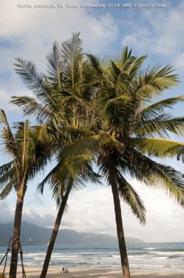 DSC_0636.jpg