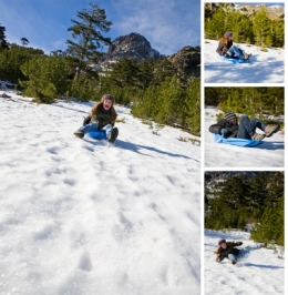ASCO LUGE 2012 copie.jpg
