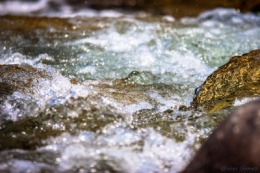 24062006-IMG_2056 copie.jpg