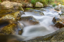 olivier gomez,photographe corse,sacha,vallee du reginu,balagne,corse