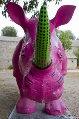 Rhino féroce .jpg