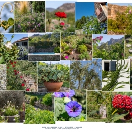 olivier gomez,photographe corse,jardins d'oru,paysagiste,villa,particulier,felicetu,balagne,corse
