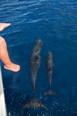 01032014-IMG_8470BLOG copie.jpg
