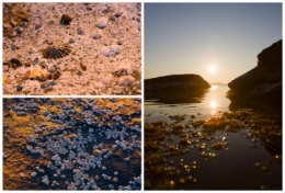 olivier gomez,photographe corse,baie de calvi