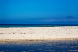 11042011-IMG_5788blog.jpg