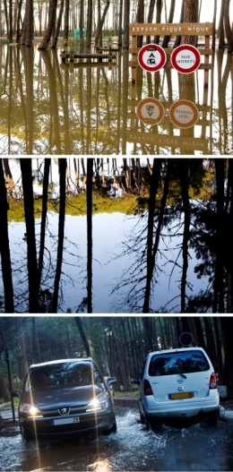 PINEDE DEC 2008.jpg