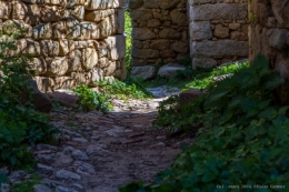 olivier gomez,photographe corse,oci,village,commune lumio