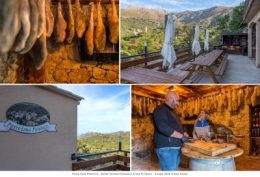 olivier gomez,photographe corse,villages de balagne,pierre louis pistorozzi,eleveur,artisan,producteur,porcs,cochonsville di paraso,oti,ile rousse,balagne
