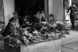 14122018-O_G_6386blog.jpg