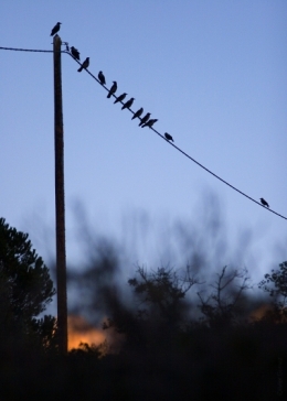 IMG_5004blog.jpg
