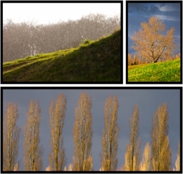 olivier gomez,photographe corse,chatellerault,vienne