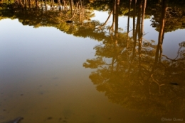 IMG_7062bis.jpg