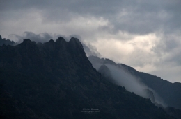 02062023-IMG_7422BLOG copie.jpg
