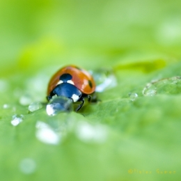 DSC_2609BISblog2.jpg
