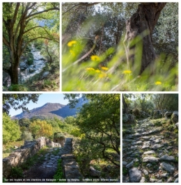 olivier gomez,photographe corse,villages,vallee du reginu,ruines,riviere,murs,pierres seches,nessa,felicetu,oti,ile rousse,balagne