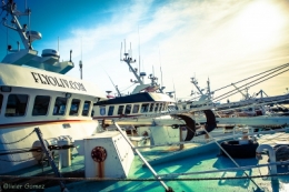 olivier gomez photographe corse boulogne