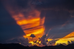 IMG_3479FBLOG copie.jpg