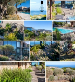 olivier gomez,photographe corse,jardins d'oru,paysagiste,davia,balagne,corse