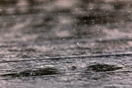 olivier gomez,photographe corse,pluie