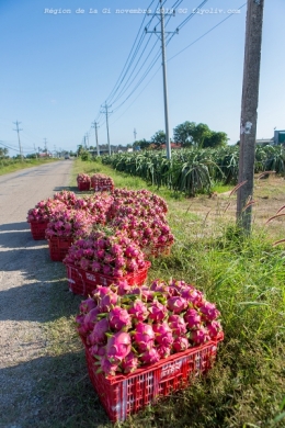 region de phan thiet,la gi,vietnam,bertrand daiguson,olivier gomez,photographes