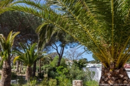 olivier gomez,photographe corse,sant'ambroggio,commune lumiu