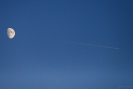 IMG_7632bis.jpg