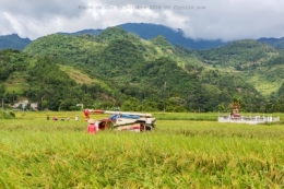 voyage,rizieres,route,coc ly,vietnam,olivier gomez,photographe corse