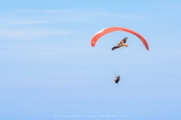 25082020-IMG_7969blog.jpg