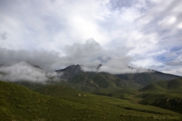 IMG_8108bis2blog.jpg