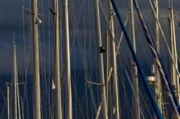 portdecalviblog.jpg