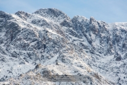 30012023-O_G_6254 FB.jpg