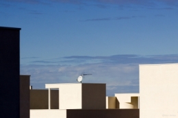 LOGEMENTS CALVI BLOG.jpg
