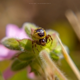 29042021-O_G_4229blogfb.jpg
