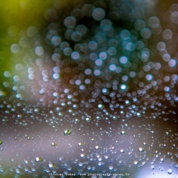 olivier gomez,photographe corse,eau,gouttes,verre,vitres,fenêtres