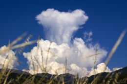NUAGE OU EXPLOSION.jpg