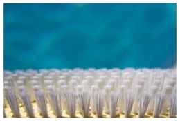 BROSSE PISCINE.jpg