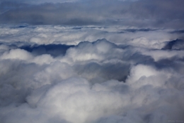 IMG_0198bis.jpg
