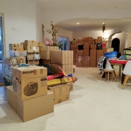 IMG_20240106_165551BLOG copie.jpg