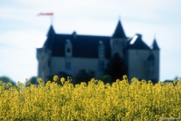 CHATEAUjpg.jpg