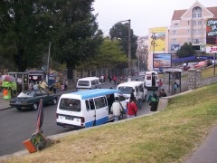 164.jpg