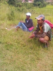 Mpangalatra.jpg