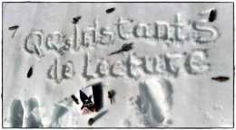 quelques instants de lecture,rendez vous mensuel made in mariejuliet,livres et instants lecture en photos,mises en scène,plus on est de fous plus on s'en met plein la vue