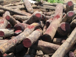 Bois de rose.jpg