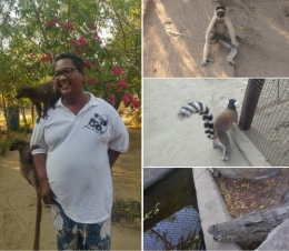 Morondava, Randy Donny, tourisme, baobab