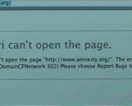 Web Amnesty.jpg