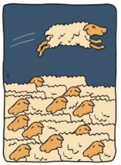 Mouton.jpg