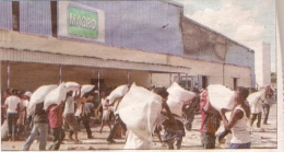Magro.jpg