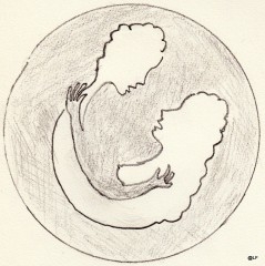 amour,société,poésie,intime,femme,homme